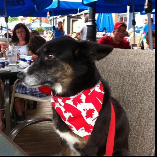 dgatessj's profile picture. 