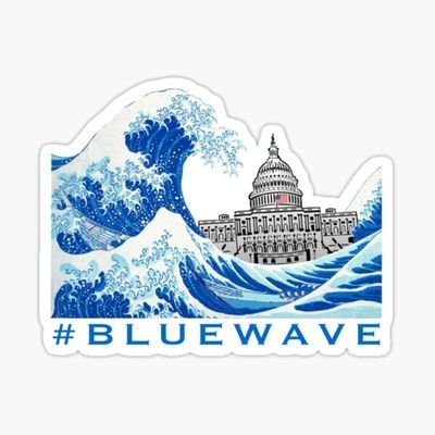 enough is enough let's ride the big blue wave and be American great again 2020