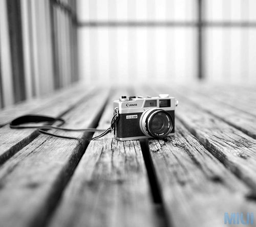 sungwon_nara's profile picture. 