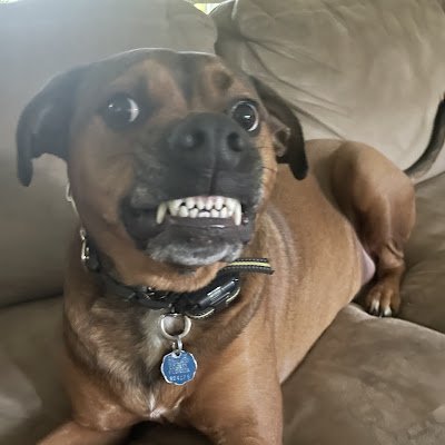 Helloid49405942's profile picture. Hi