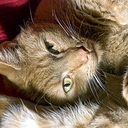 Sam Rode Kater - @SamKater - Twitter