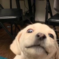ส่งจริงค่าขายของมานาน (@grampyyyyyy) 's Twitter Profile