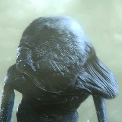 Perish The Thotさんのプロフィール画像