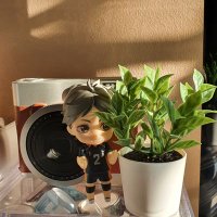 shi (@bkak120) 's Twitter Profile
