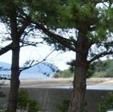 4themap's profile picture. 