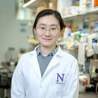 Zibo Zhao (@zhao_zibo) 's Twitter Profile