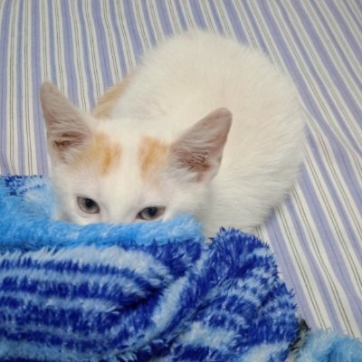 Bruno1810528258's profile picture. Nada que decir...