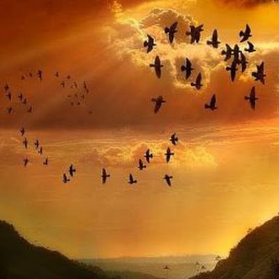 MyunggyuIm's profile picture. Have worked as a real estate developer for more than 30 years and now working hard 
to raise a fund to develop the senior residence projects.