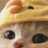 _CoffeeTime__'s profile picture. 