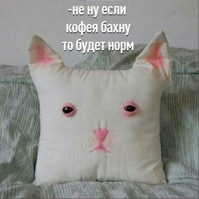 Krovosisay's profile picture. Воробушек-социофобушек🐣| не алкоголик, а сомелье🍷 #взаимная💕