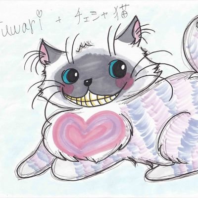 キノピーさんのプロフィール画像