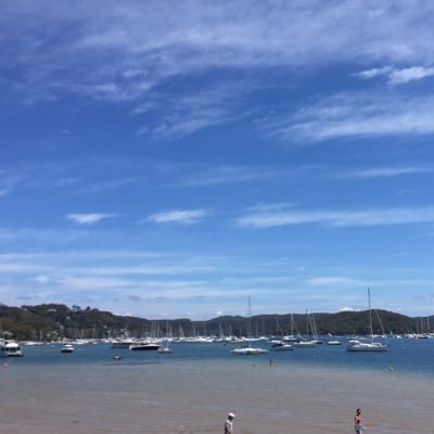 ericxu1997's profile picture. 