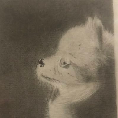 yatto_32's profile picture. ただいま一念発起中。 プログラミングを勉強してます！ (HTML/CSS、Ruby、Ruby on Rails) 一人前のITエンジニアになってみたい！