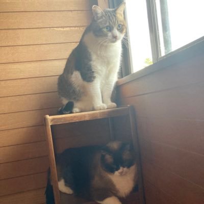 ezPNytBMScAbLYB's profile picture. 