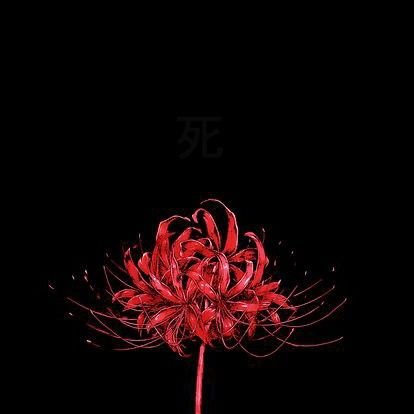 yellawbruh's profile picture. isinya dah jadi bacotan kasar lagi