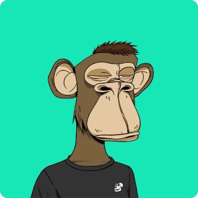 Xnatheth's profile picture. NFT millionaire / Crypto believer / To the moon