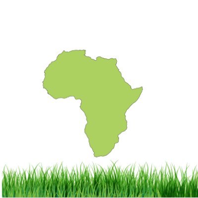 afriscapeltd Profile Picture