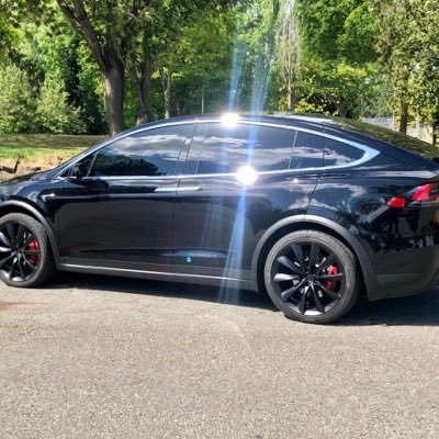 Lucky trader, not advice | Shadow Crew | Member of the most exclusive Tesla Reddit hyper bull sub |
