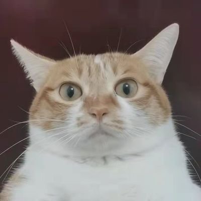juggacg Profile Picture
