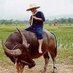 หนุ่มเหนือ แห่งลำน้ำโขง (@ardisack1) Twitter profile photo หนุ่มเหนือ แห่งลำน้ำโขง (@ardisack1) Twitter profile photo