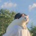 suuuu (@f_kajae) Twitter profile photo suuuu (@f_kajae) Twitter profile photo