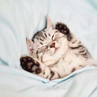 zbtherler's profile picture. 