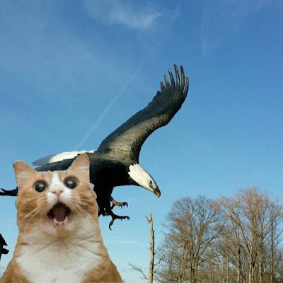 GS73088094's profile picture. 