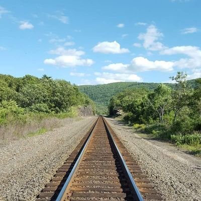 David54596039's profile picture. 