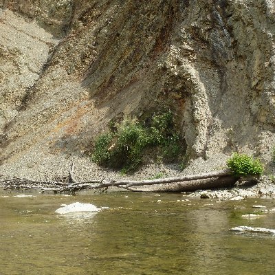 AdRes14511886's profile picture. Egalite. Fraternite. Liberte.