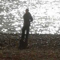 SaveDemocracy#FBPEπΆοΈπΊπ¦πππͺπΊπ¬π§πͺπΊπ«π·π§πͺ (@hilary_libdem) 's Twitter Profile
