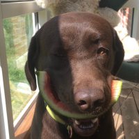 jonatan/Siiger (@jonatan78077141) 's Twitter Profile Photo jonatan/Siiger (@jonatan78077141) 's Twitter Profile Photo