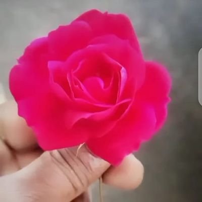 HusainMadar's profile picture. 