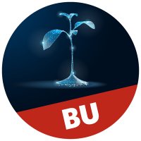 BU Digital Learning & Innovation(@BU_Digital) 's Twitter Profile Photo