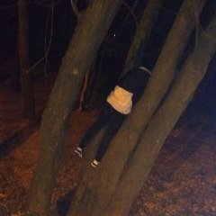 AlexeySerebro8's profile picture. gsgg