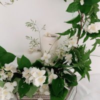 Rukia (@mixedthal) 's Twitter Profile