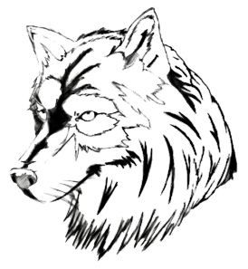 Carnibest's profile picture. Verse gezondheidsvoeding voor hond, kat en fret