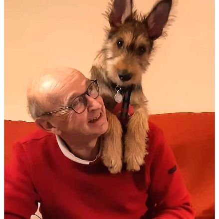 MinotAlain's profile picture. Bien sûr que je suis quelqu'un de spécial ! 😉