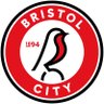 MarkScatts's profile picture. Long term #BristolCity addict | Fan of avoidable tension | ST holder, Dolman E30