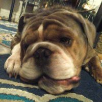 Joseph (@joseph04013555) 's Twitter Profile