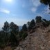 Margalla Hills National Park (@MargallaHNP) Twitter profile photo