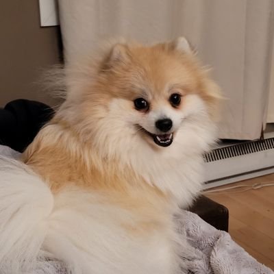 Mother, critical thinker, atheist, feminist, BLM, pet-lover, she/her,
wanna-be daytrader
*follow science