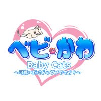 【オナクラ】Baby Cats神戸三宮(@BabyCats__) 's Twitter Profile Photo