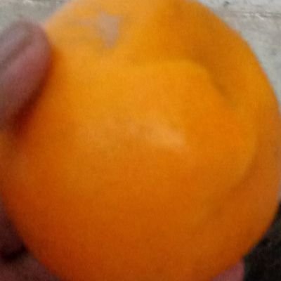 Robotsan1's profile picture. I am robot mango