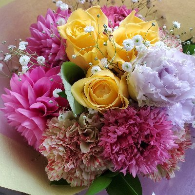 zBFVtSPZz3L9dlz's profile picture. 