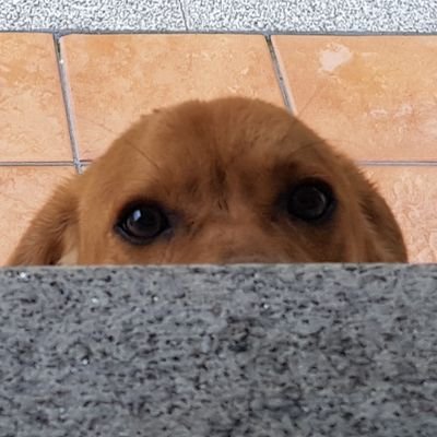 Bueno, esa es tu opiniónさんのプロフィール画像