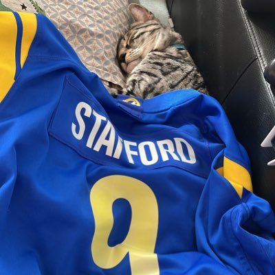 Mariondudu74's profile picture. I’m nobody but I love the #LaRams and #Clippers and my cat. I prefer watch a game than sleep (European understood)Coffee and serie addict. ✌️I’m geek too