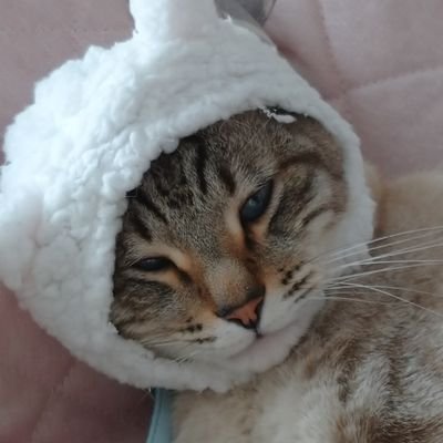 QPWIkIlOv50s3Mv's profile picture. ファン歴20年越えのASKAさん大好きおじさん。福岡ドーム千屋一夜のASKAソロ、chageソロ、C&Aライブの三部構成に感動。大阪出身、東京都内在住。無言フォローお許しください。fellowsさんの話にたくさん触れたい。ライブの遠征が大好き❗ ディズニーシーも大好き❗