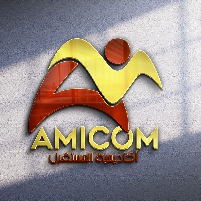 - Academie Al Mostakbal pour l'Information et la Communication (AMICOM)