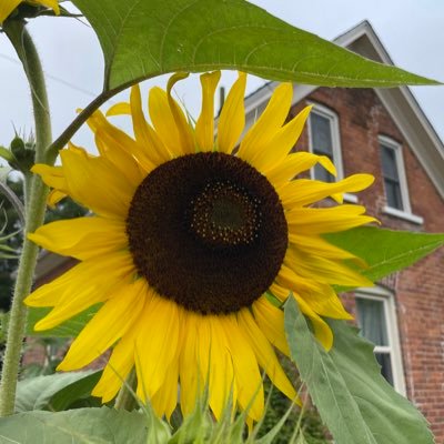 This is an account I created to write about agritourism in the Ottawa region. Historical blog content now moved to https://t.co/GUeOh9nFvs.