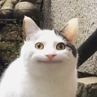 설렁탕 (@browneyere) 's Twitter Profile Photo